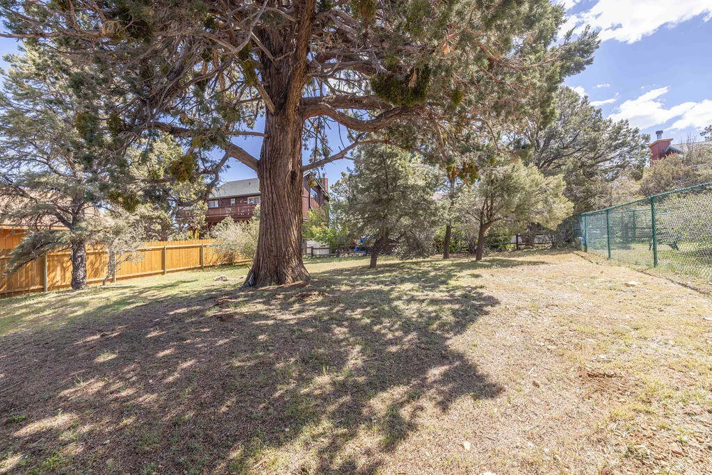 Backyard6-9573