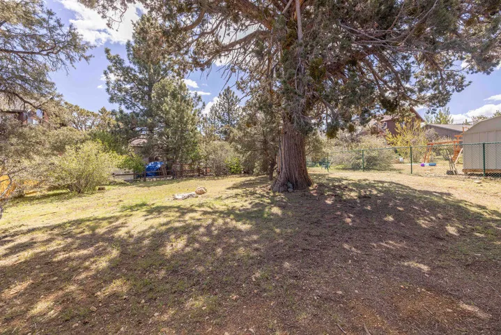 Backyard5-9572