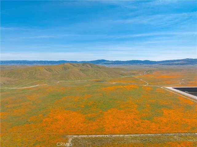 AV Poppy Reserve 2026
