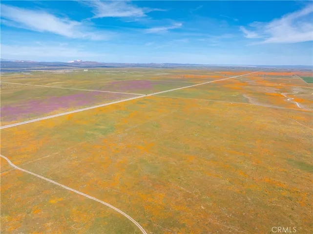 AV Poppy Reserve 2026