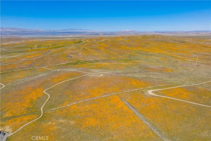 AV Poppy Reserve 2026