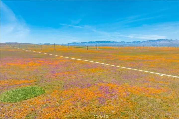 AV Poppy Reserve 2026
