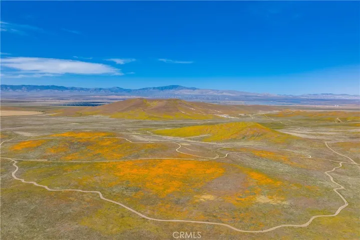 AV Poppy Reserve 2026