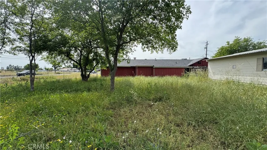 Mobile Back Yard