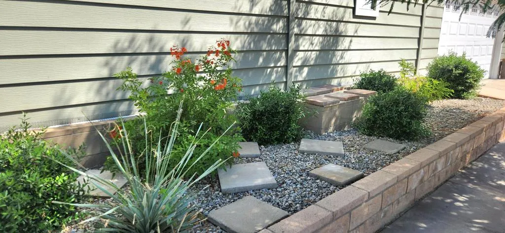 Front Area Landscape
