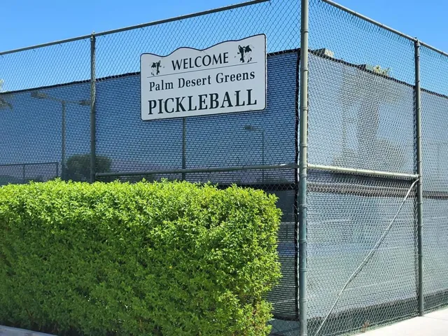 Pickleball Court