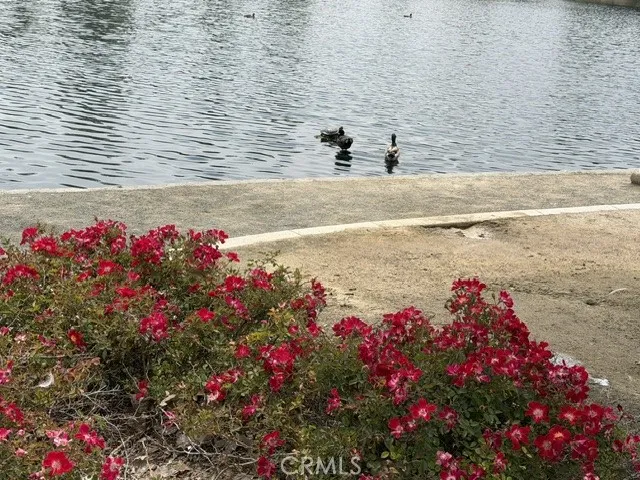 colorful park and lake park