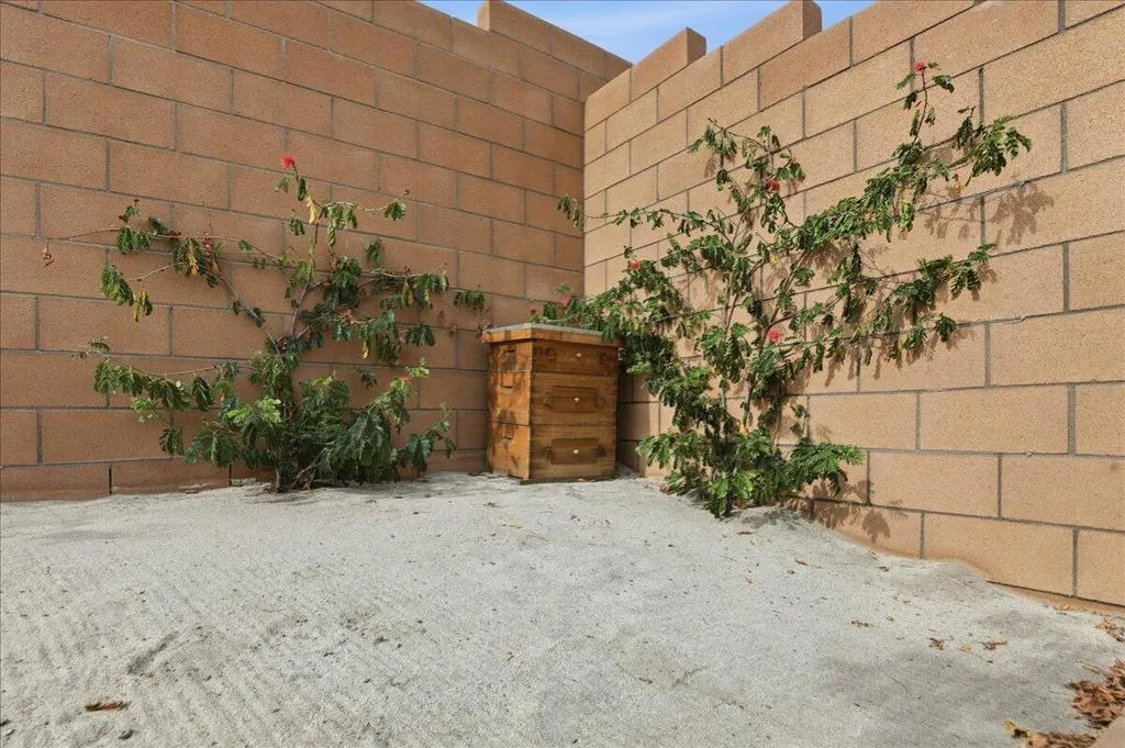 45-Backyard