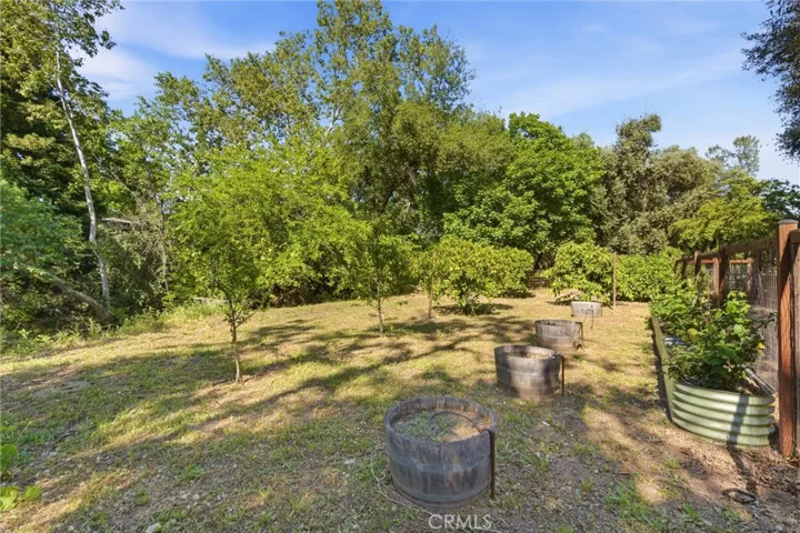 Garden area