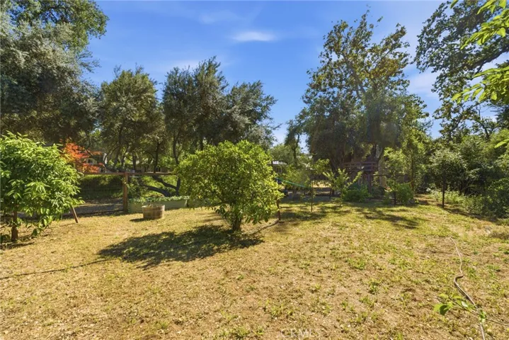 Fruit Trees