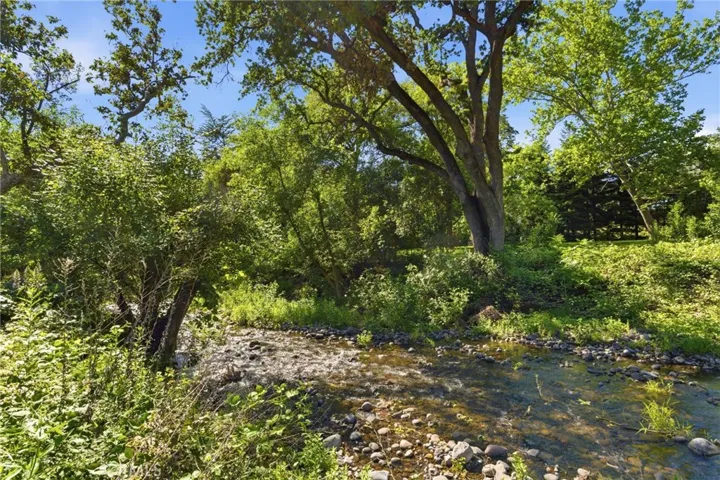 Creek