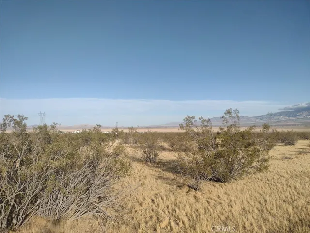 Looking Southeast across property, at road
