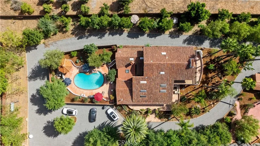 Main House amongst the grove.