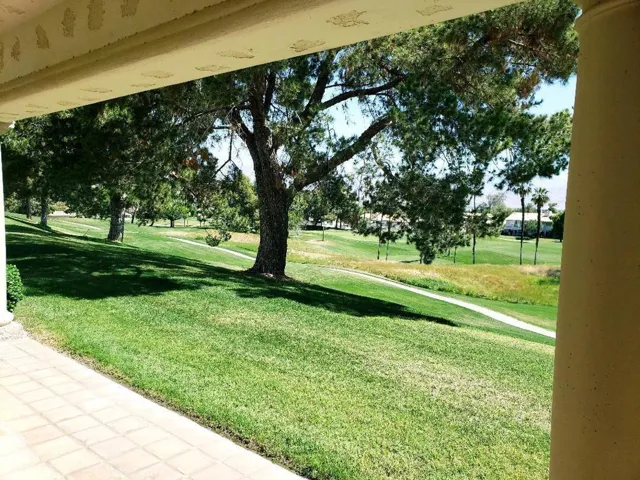 View from Primary