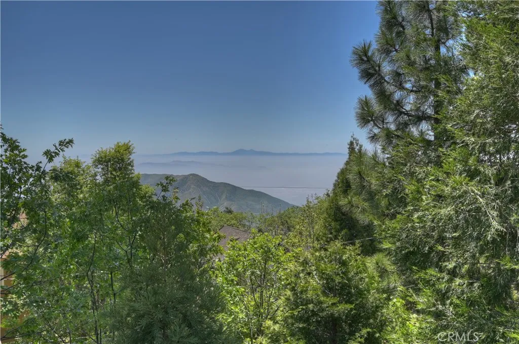 Back Deck View