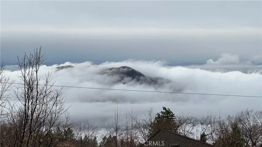 Back Deck View