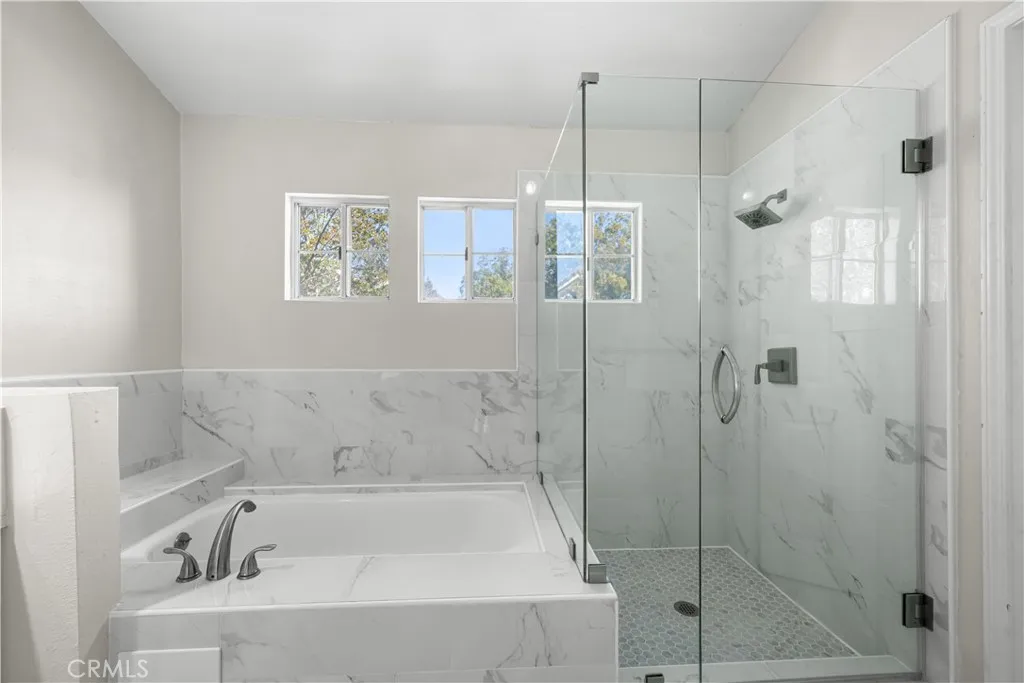 Master Bathtub and Shower Stall