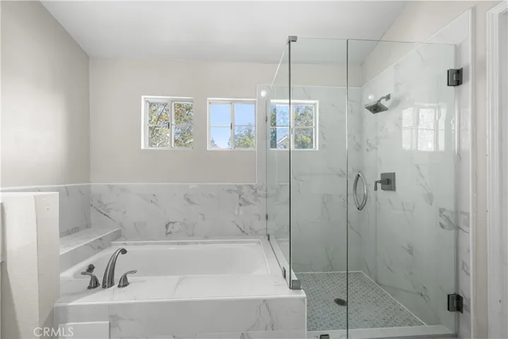 Master Bathtub and Shower Stall