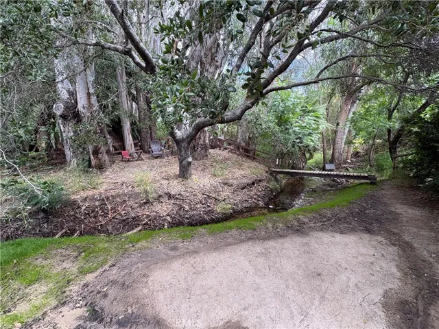 Secret forest