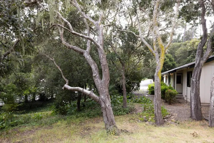 25315 Flanders Drive, Carmel, California 93923