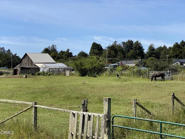 Bucolic Neighborhood!