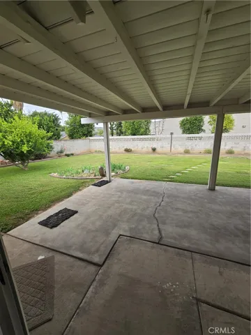 back yard