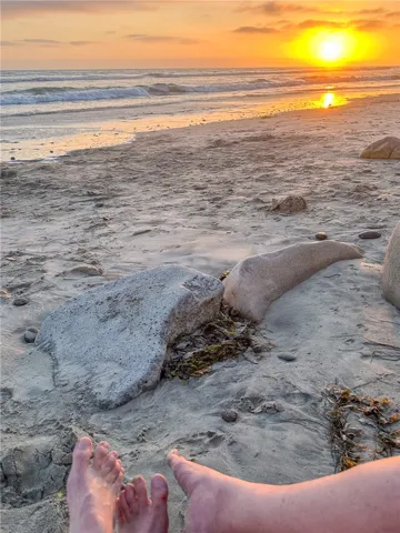 Is that you?  Don't let another sun set before making your beach dream come true...