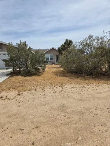 Front Yard