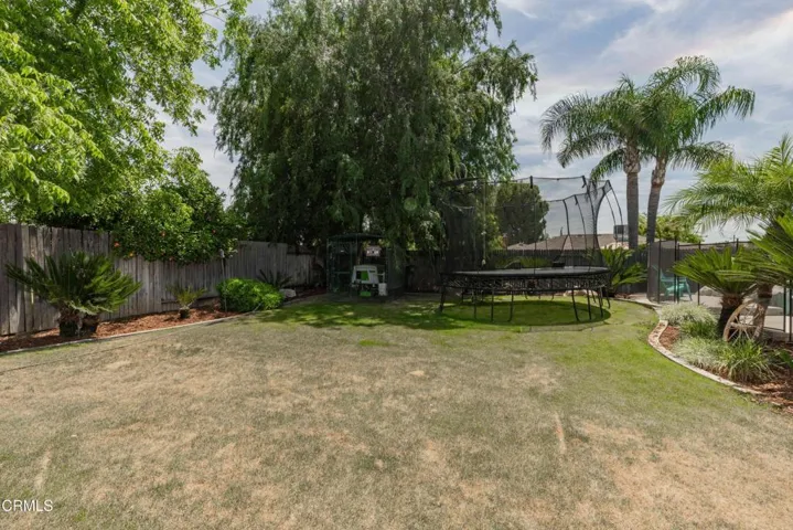 34_backyard