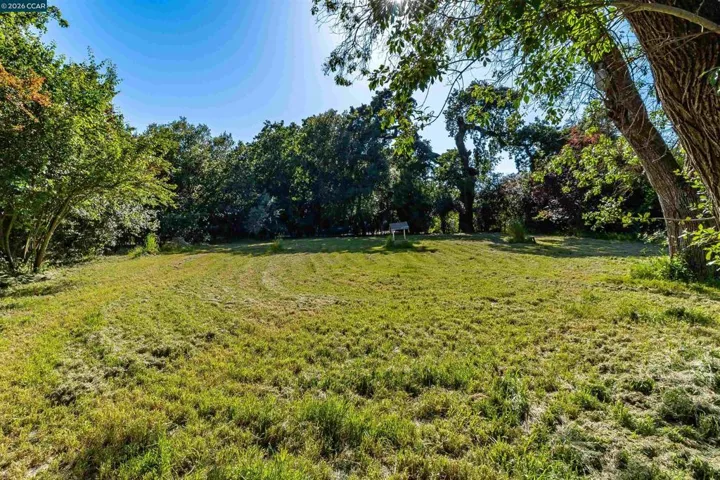 19317 Olive Ave, Sonoma, California 95476
