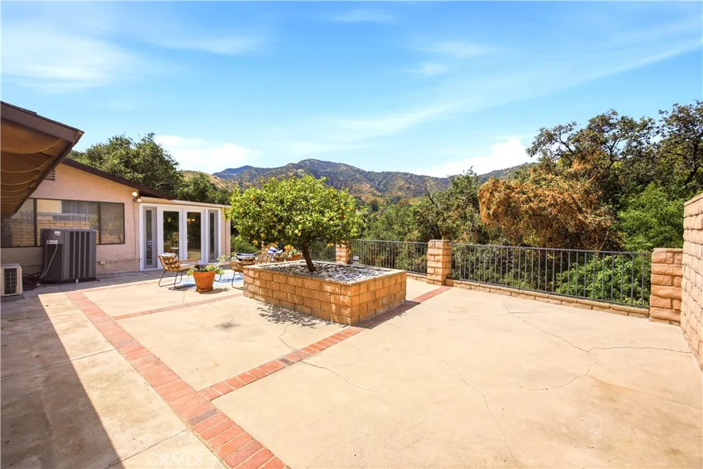 Large Backyard View