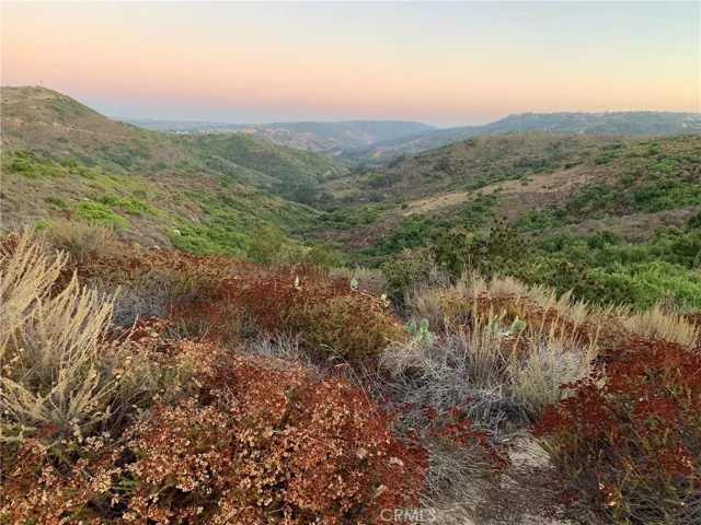 West Ridge Trail