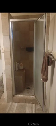 Walk-in Shower