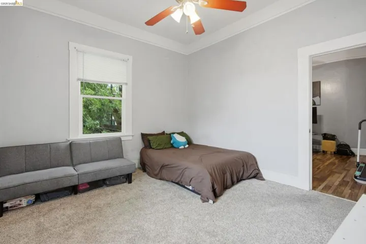 Comfortable room featuring light gray walls, plush carpeting, a white-framed window, and a ceiling fan with integrated lighting