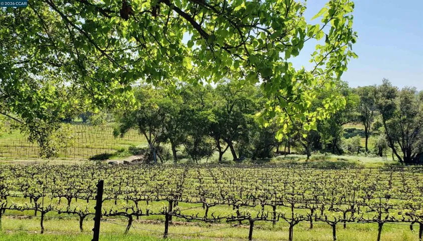 10580 Dickson Road, Plymouth, California 95669