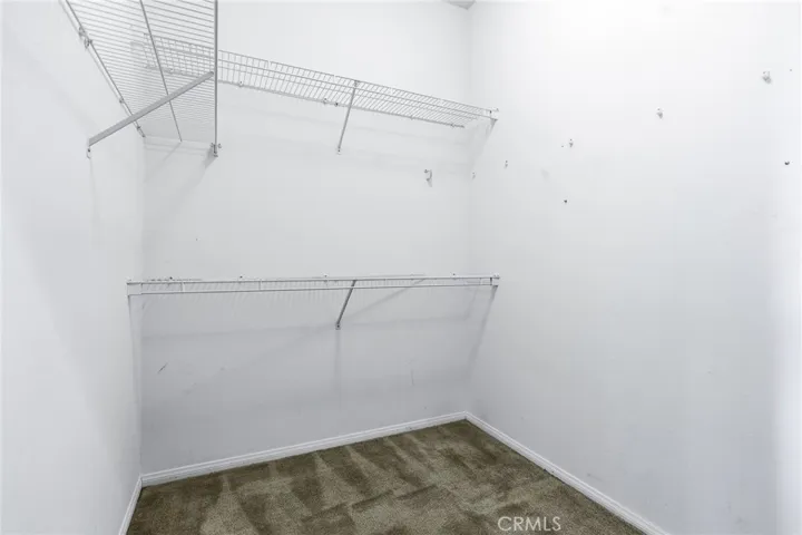 Primary Bedroom Walk-in Closet
