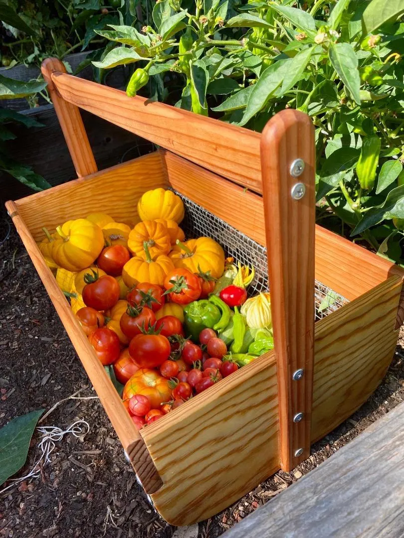 Fenced Garden has potential bounty of summer crops!