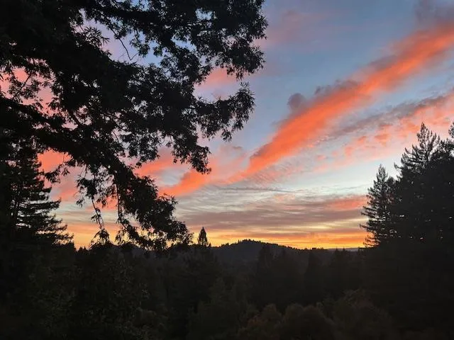 16000 Redwood Lodge Road, Los Gatos, California 95033