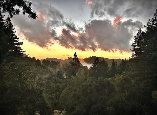 16000 Redwood Lodge Road, Los Gatos, California 95033