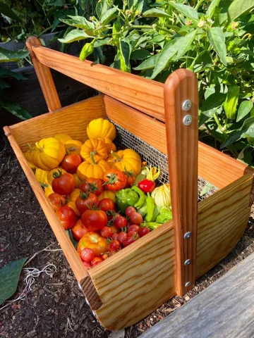 Fenced Garden has potential bounty of summer crops!