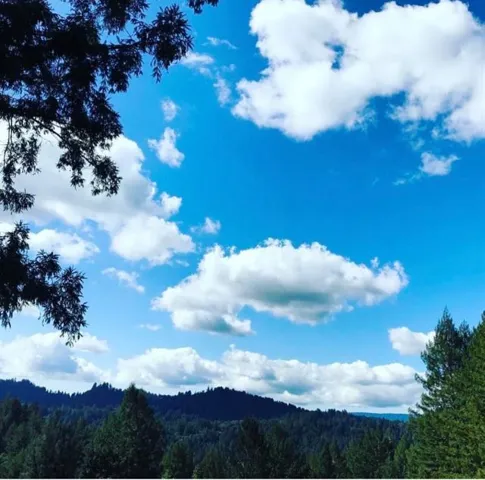 View from deck on summer morning