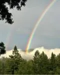 16000 Redwood Lodge Road, Los Gatos, California 95033