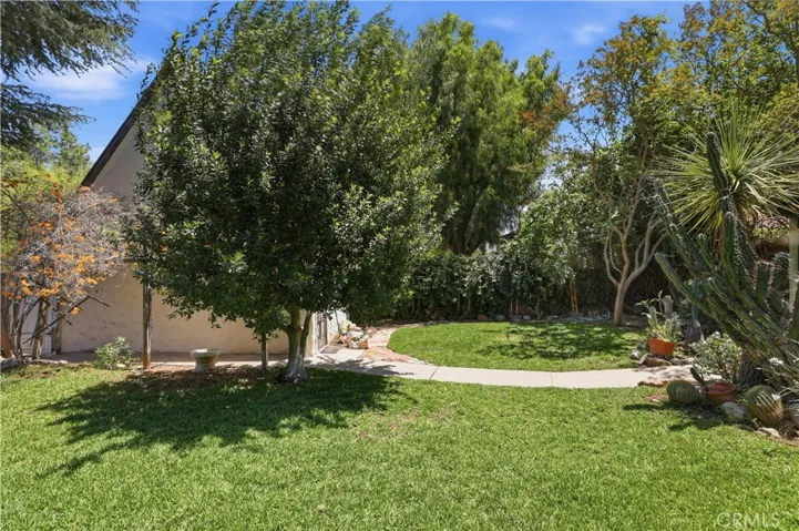 back yard view