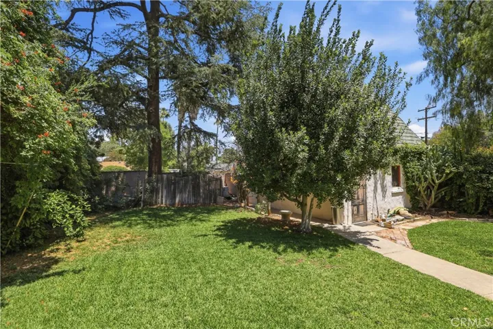 back yard
