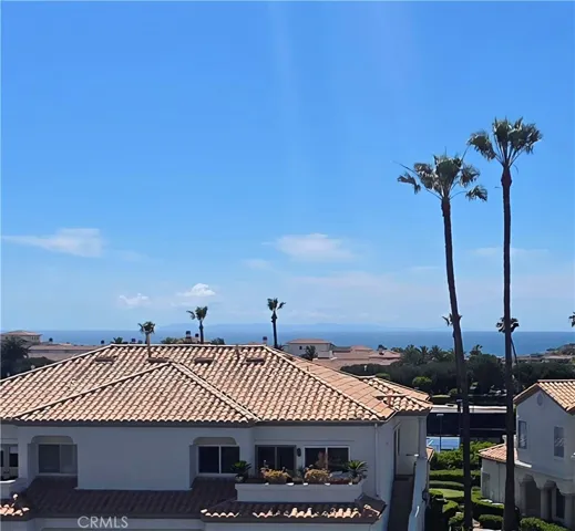 Ocean View from Patio and Living Room