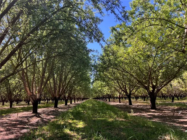5000 Ord Ferry, Chico, California 95928
