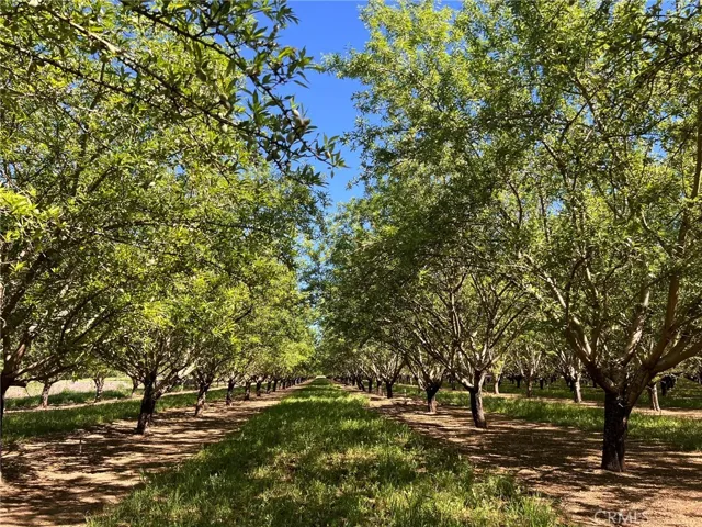 5000 Ord Ferry, Chico, California 95928