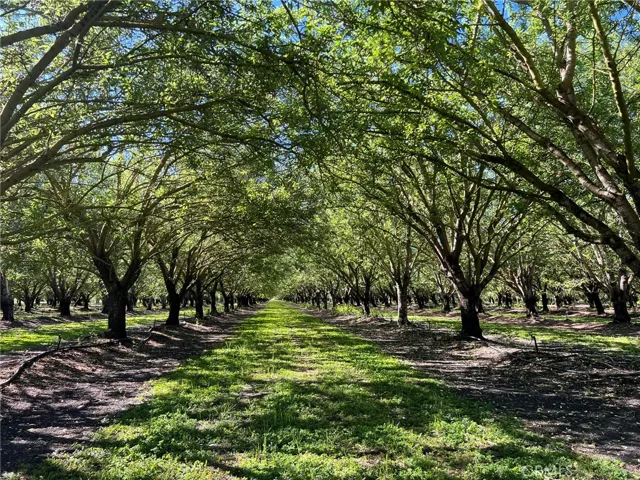 5000 Ord Ferry, Chico, California 95928