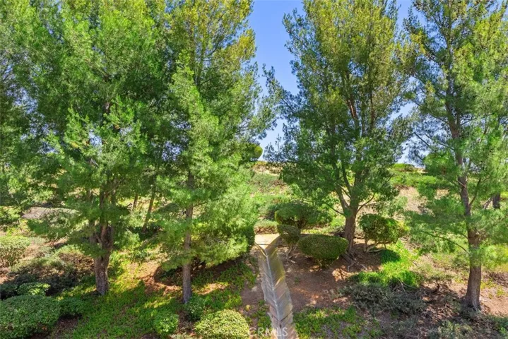 Hilllside & tree view from the front of the property