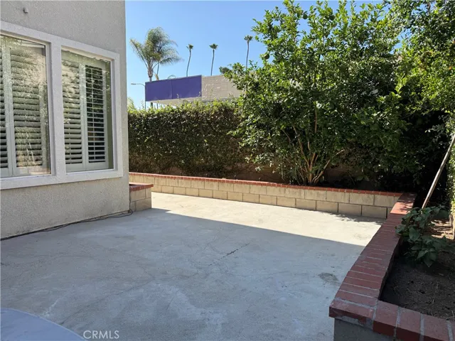 Back yard